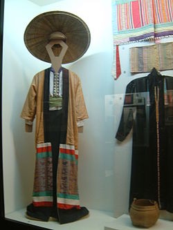 The Thai ethnic group in Vietnam  - ảnh 1